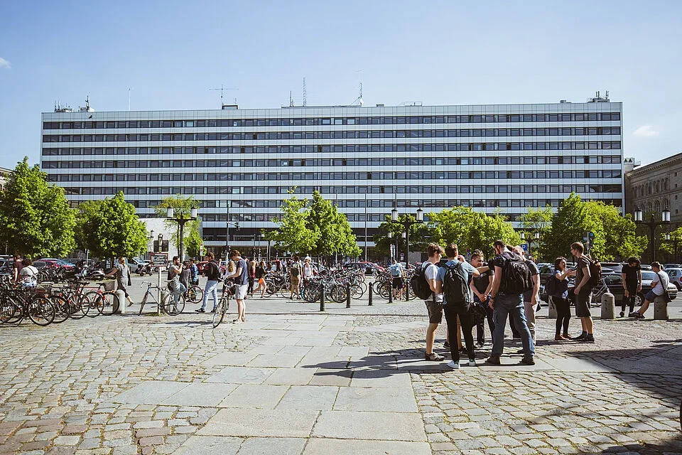 © Oana Popa-Costea